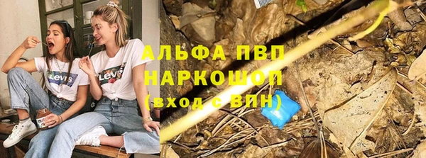 крисы Иннополис