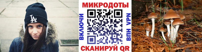 Псилоцибиновые грибы Magic Shrooms  Обнинск 