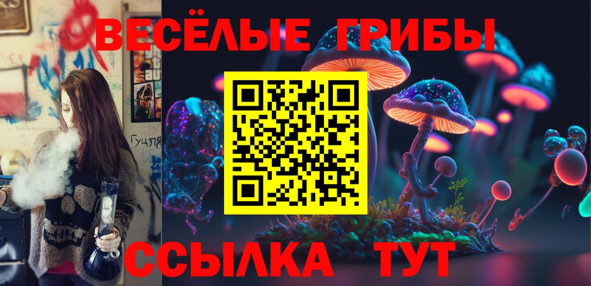 Псилоцибиновые грибы ЛСД  Вход с VPN  Обнинск  что такое   Псилоцибиновые грибы Psilocybine cubensis 